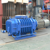 Roots Vacuum Pump