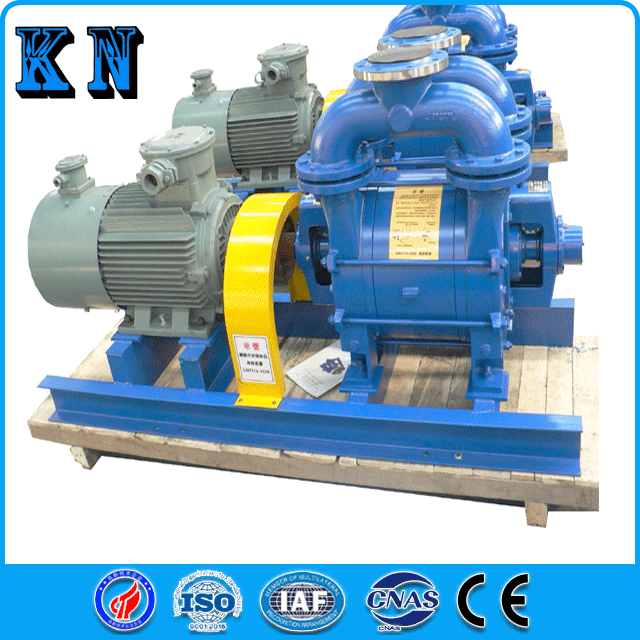  Liquid/Water Ring Vacuum Pump for Food-Related Industry